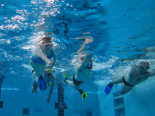 Aufwärmübungen im Wasser beim Tauchtraining vom TSC Karlsruhe im Schöneckbad